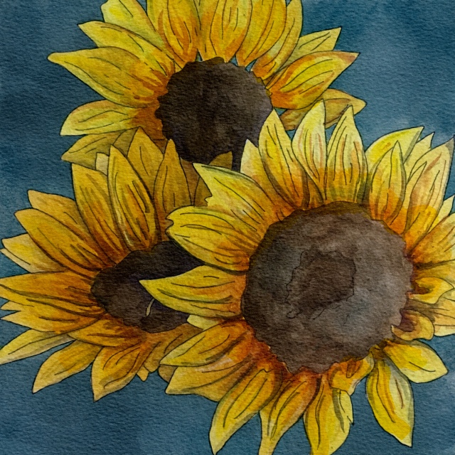 Sunflowers_
